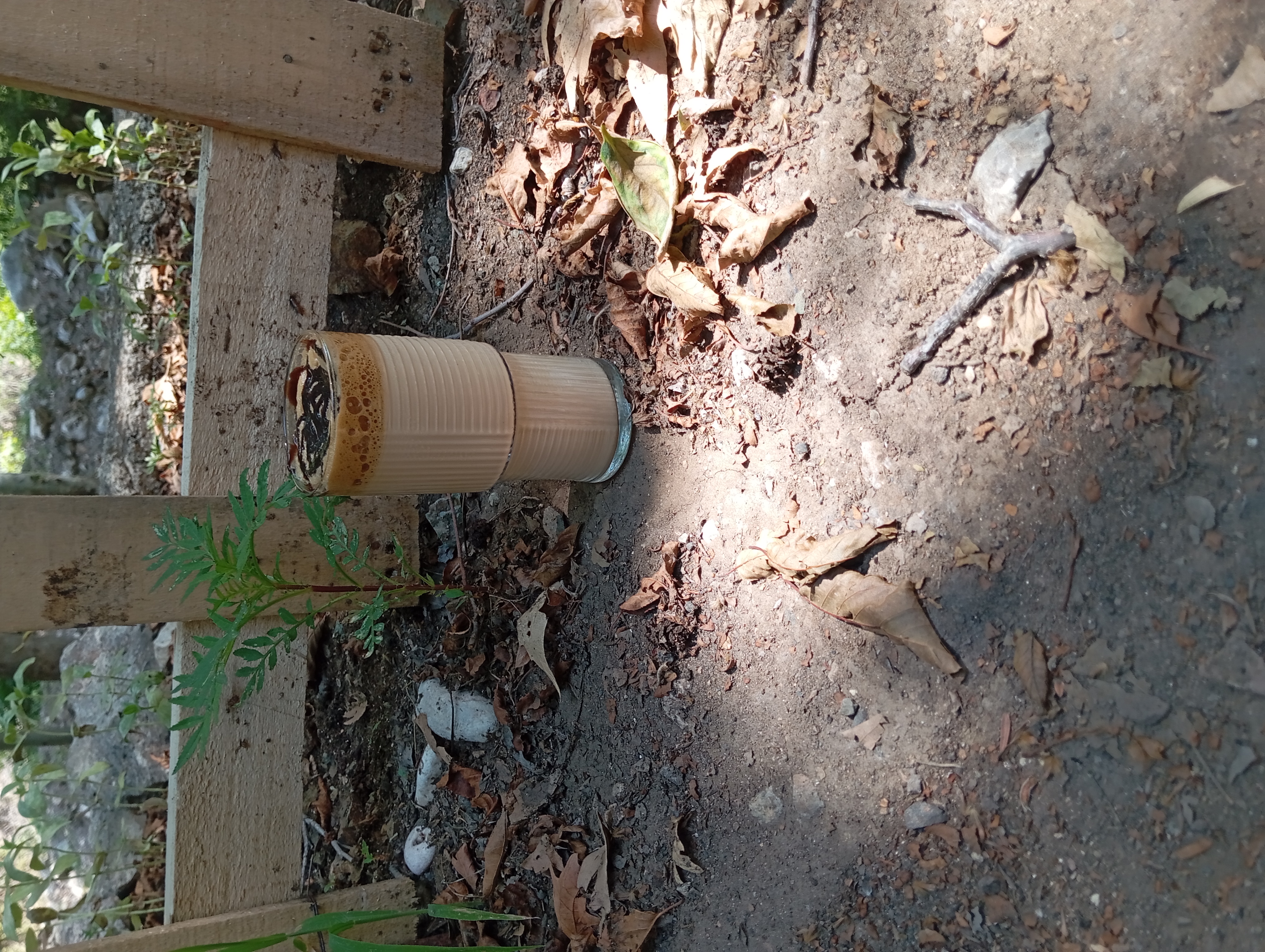 ıce latte